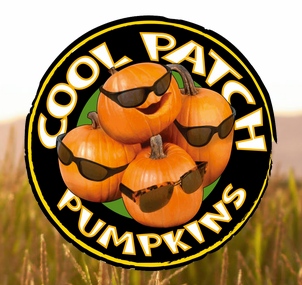 cool pumpkin patch